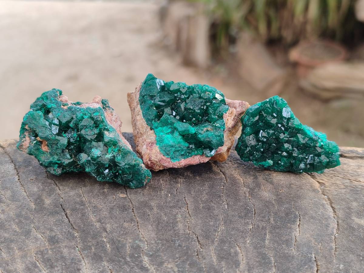 Natural Dioptase On Dolomite Specimens x 12 From Likasi, Congo - Toprock Gemstones and Minerals 