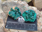 Natural Dioptase On Dolomite Specimens x 12 From Likasi, Congo - Toprock Gemstones and Minerals 