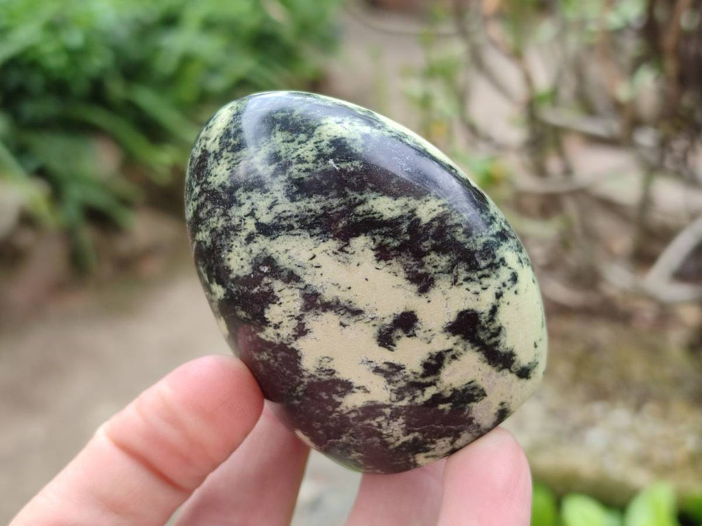 Polished Leopard Stone Standing Free Forms x 12 From Zimbabwe - Toprock Gemstones and Minerals 