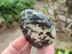 Polished Leopard Stone Standing Free Forms x 12 From Zimbabwe - Toprock Gemstones and Minerals 