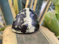 Polished Leopard Stone Standing Free Forms x 12 From Zimbabwe - Toprock Gemstones and Minerals 