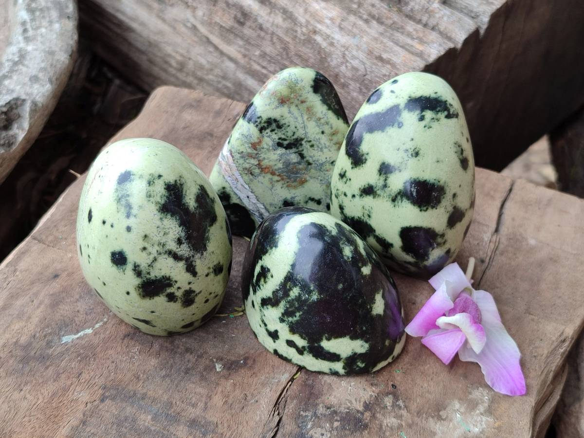 Polished Leopard Stone Standing Free Forms x 12 From Zimbabwe - Toprock Gemstones and Minerals 