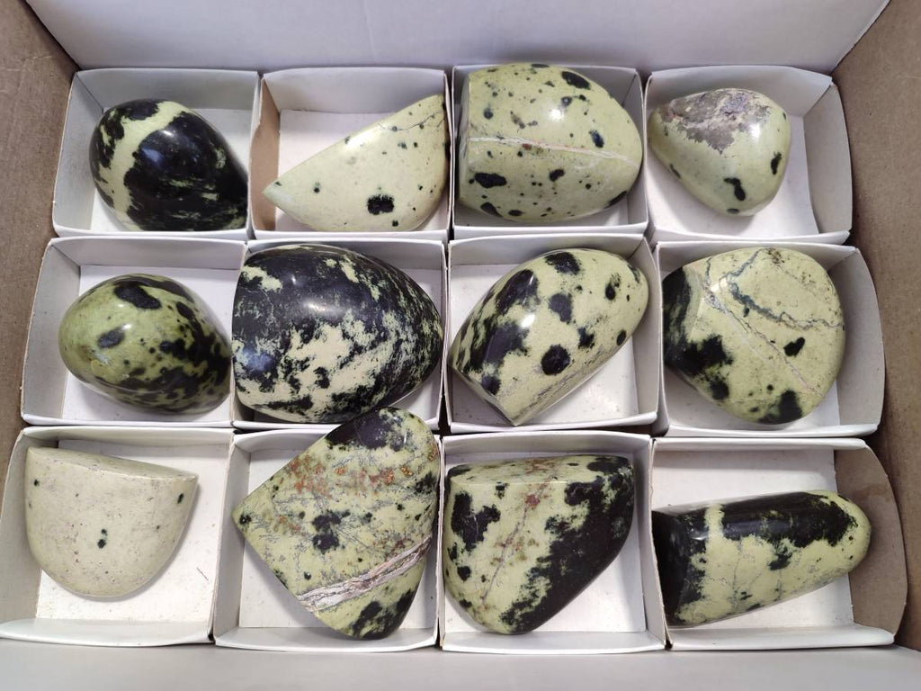 Polished Leopard Stone Standing Free Forms x 12 From Zimbabwe - Toprock Gemstones and Minerals 