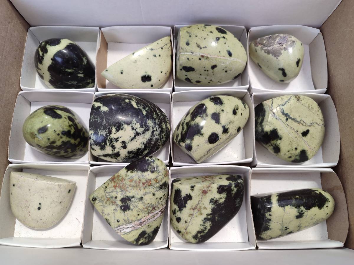Polished Leopard Stone Standing Free Forms x 12 From Zimbabwe - Toprock Gemstones and Minerals 