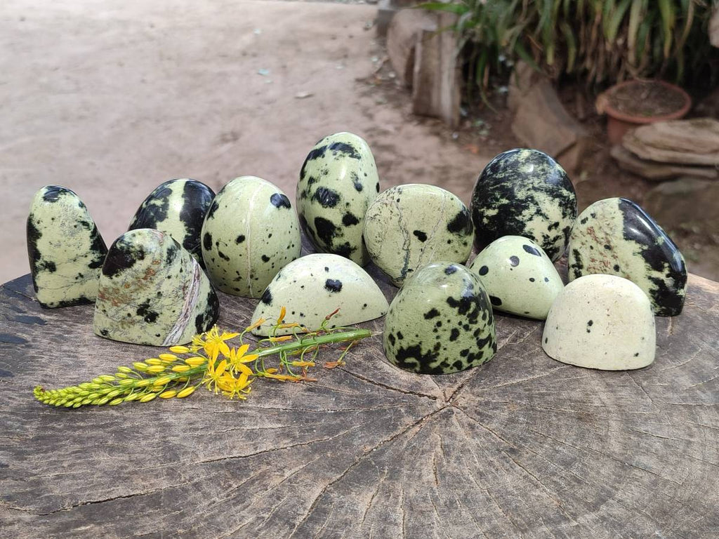Polished Leopard Stone Standing Free Forms x 12 From Zimbabwe - Toprock Gemstones and Minerals 