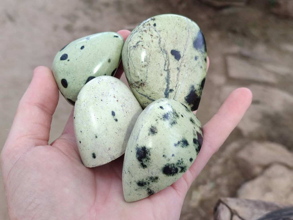Polished Leopard Stone Standing Free Forms x 12 From Zimbabwe - Toprock Gemstones and Minerals 