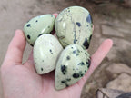 Polished Leopard Stone Standing Free Forms x 12 From Zimbabwe - Toprock Gemstones and Minerals 