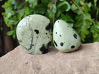 Polished Leopard Stone Standing Free Forms x 12 From Zimbabwe - Toprock Gemstones and Minerals 