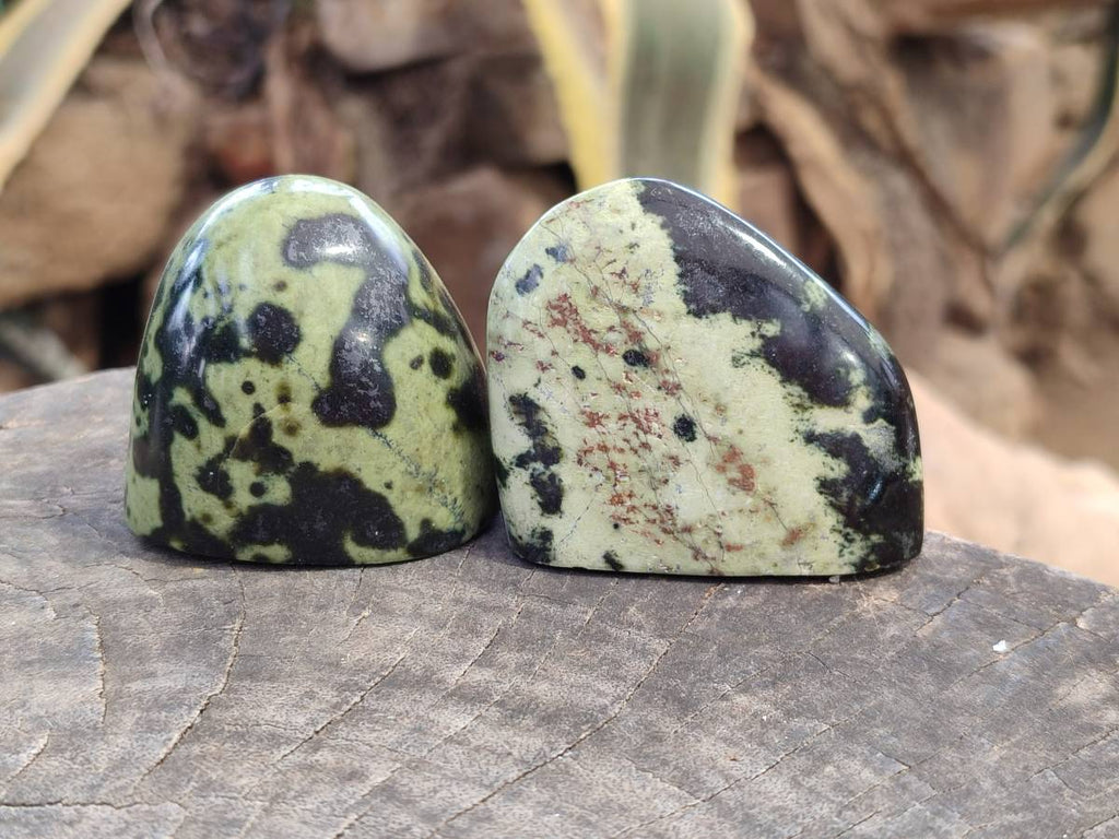 Polished Leopard Stone Standing Free Forms x 12 From Zimbabwe - Toprock Gemstones and Minerals 