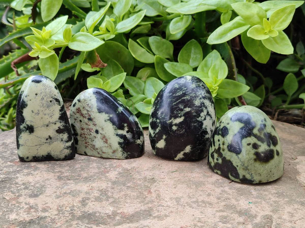 Polished Leopard Stone Standing Free Forms x 12 From Zimbabwe - Toprock Gemstones and Minerals 