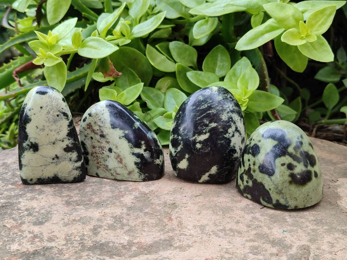 Polished Leopard Stone Standing Free Forms x 12 From Zimbabwe - Toprock Gemstones and Minerals 
