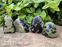Polished Leopard Stone Standing Free Forms x 12 From Zimbabwe - Toprock Gemstones and Minerals 