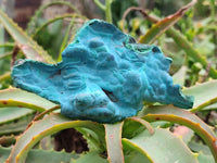 Natural Botryoidal Malachite with Chrysocolla x 6 From Congo - Toprock Gemstones and Minerals 