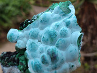 Natural Botryoidal Malachite with Chrysocolla x 6 From Congo - Toprock Gemstones and Minerals 