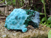 Natural Botryoidal Malachite with Chrysocolla x 6 From Congo - Toprock Gemstones and Minerals 