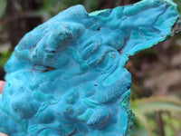 Natural Botryoidal Malachite with Chrysocolla x 6 From Congo - Toprock Gemstones and Minerals 