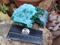 Natural Botryoidal Malachite with Chrysocolla x 6 From Congo - Toprock Gemstones and Minerals 