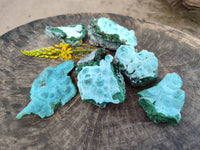 Natural Botryoidal Malachite with Chrysocolla x 6 From Congo - Toprock Gemstones and Minerals 