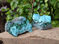 Natural Botryoidal Malachite with Chrysocolla x 6 From Congo - Toprock Gemstones and Minerals 
