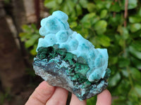 Natural Botryoidal Malachite with Chrysocolla x 6 From Congo - Toprock Gemstones and Minerals 