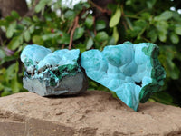 Natural Botryoidal Malachite with Chrysocolla x 6 From Congo - Toprock Gemstones and Minerals 