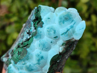 Natural Botryoidal Malachite with Chrysocolla x 6 From Congo - Toprock Gemstones and Minerals 