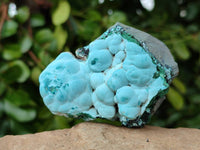 Natural Botryoidal Malachite with Chrysocolla x 6 From Congo - Toprock Gemstones and Minerals 