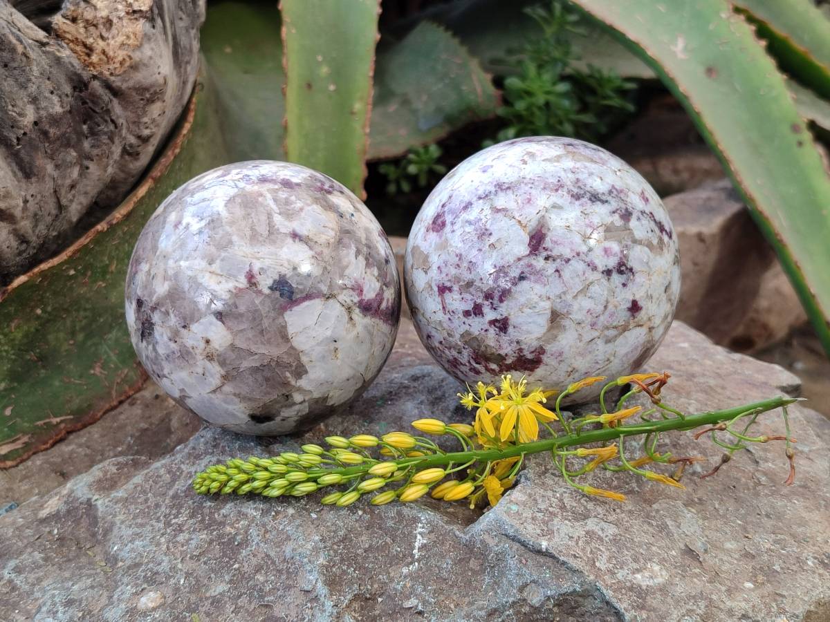 Polished Rubellite Pink Tourmaline Spheres x 2 From Ambatondrazaka, Madagascar - Toprock Gemstones and Minerals 