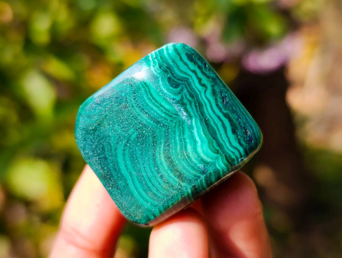 Polished Flower Banded Malachite Free Forms x 20 From Congo - Toprock Gemstones and Minerals 