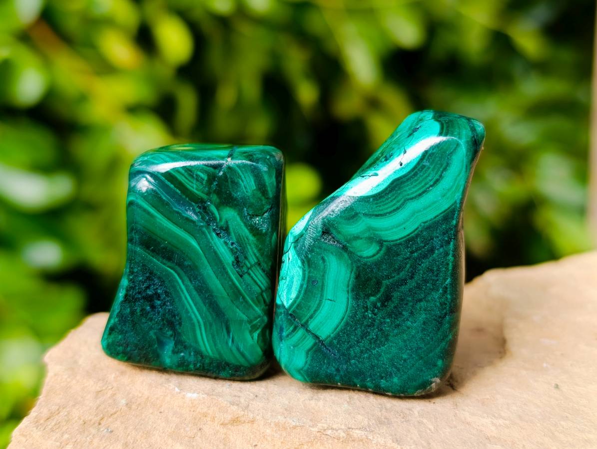 Polished Flower Banded Malachite Free Forms x 20 From Congo - Toprock Gemstones and Minerals 