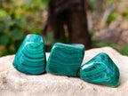 Polished Flower Banded Malachite Free Forms x 20 From Congo - Toprock Gemstones and Minerals 
