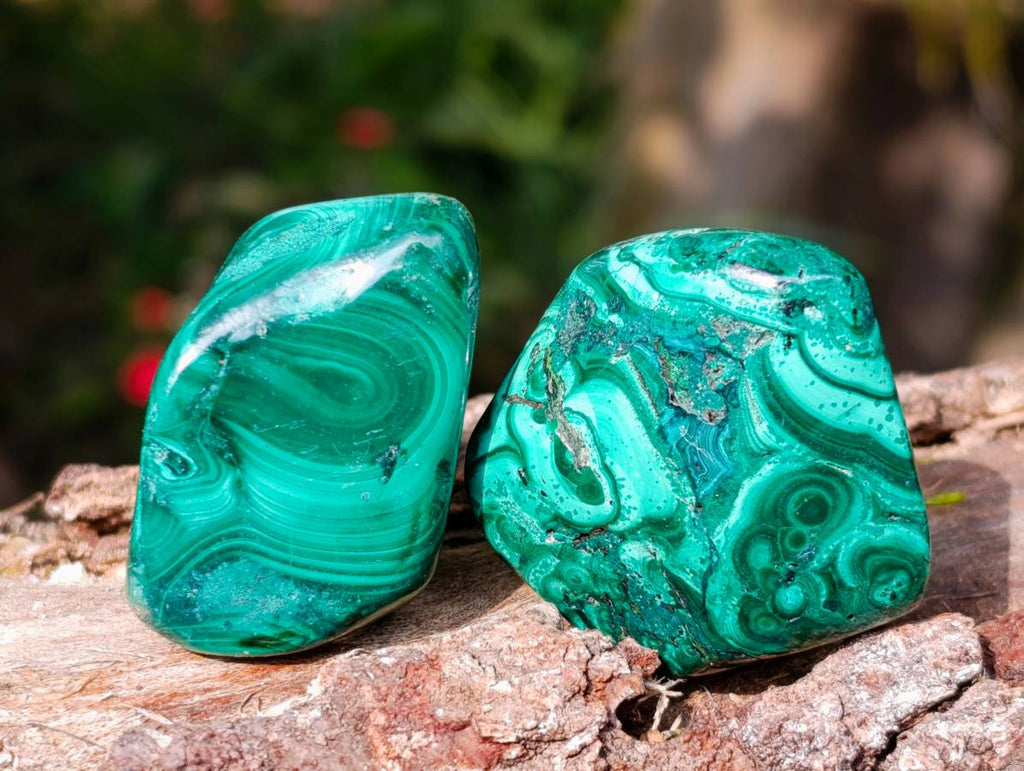 Polished Flower Banded Malachite Free Forms x 20 From Congo - Toprock Gemstones and Minerals 