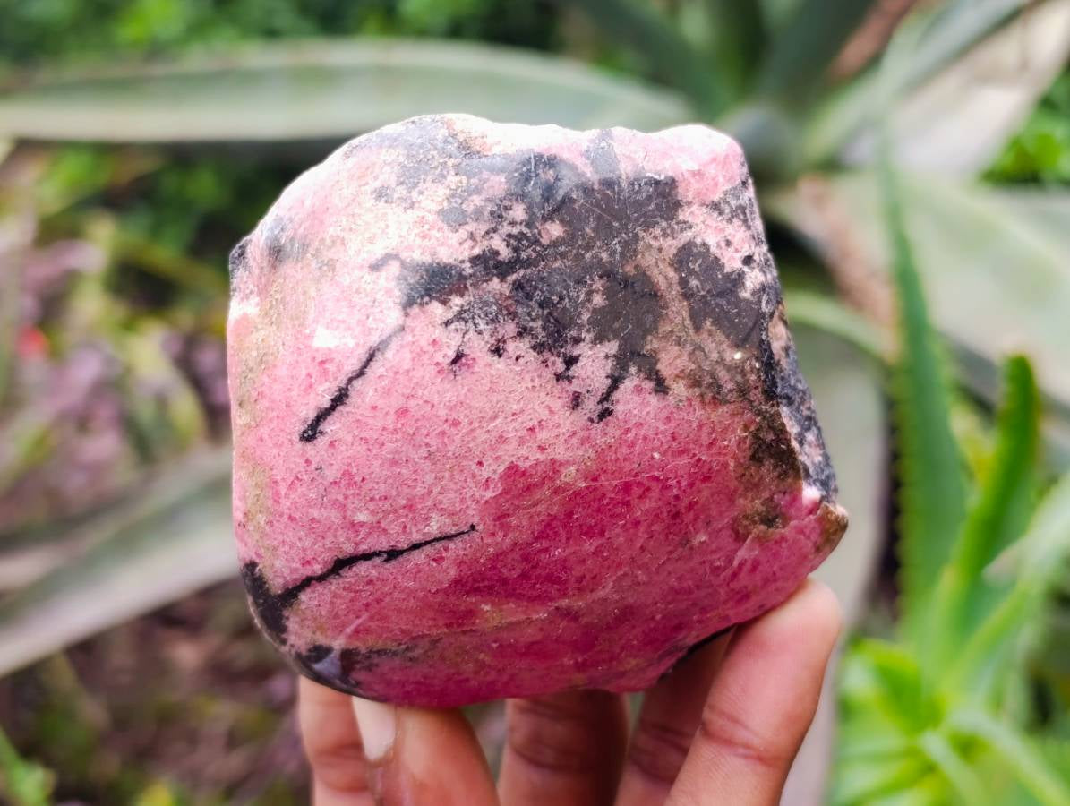 Polished On One Side Rhodonite x4 From Ambindavato, Madagascar - Toprock Gemstones and Minerals 