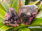 Polished On One Side Rhodonite x4 From Ambindavato, Madagascar - Toprock Gemstones and Minerals 