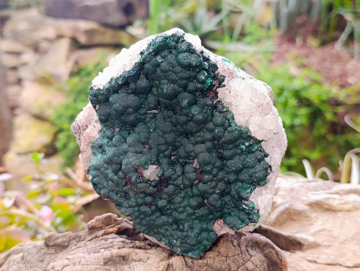 Natural Ball Malachite and Drusy Quartz On Dolomite Matrix Specimens x 1 From Kambove, Congo - Toprock Gemstones and Minerals 