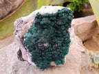 Natural Ball Malachite and Drusy Quartz On Dolomite Matrix Specimens x 1 From Kambove, Congo - Toprock Gemstones and Minerals 