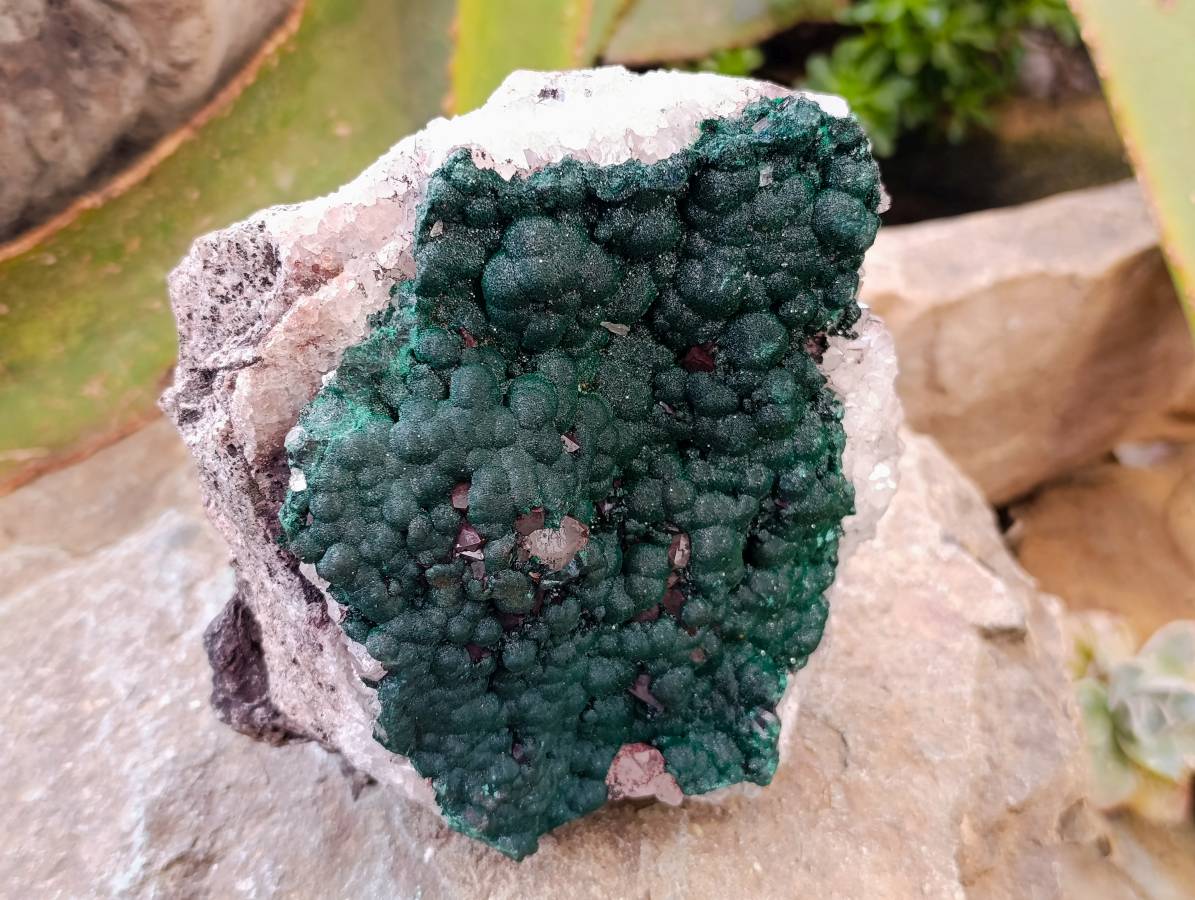 Natural Ball Malachite and Drusy Quartz On Dolomite Matrix Specimens x 1 From Kambove, Congo - Toprock Gemstones and Minerals 