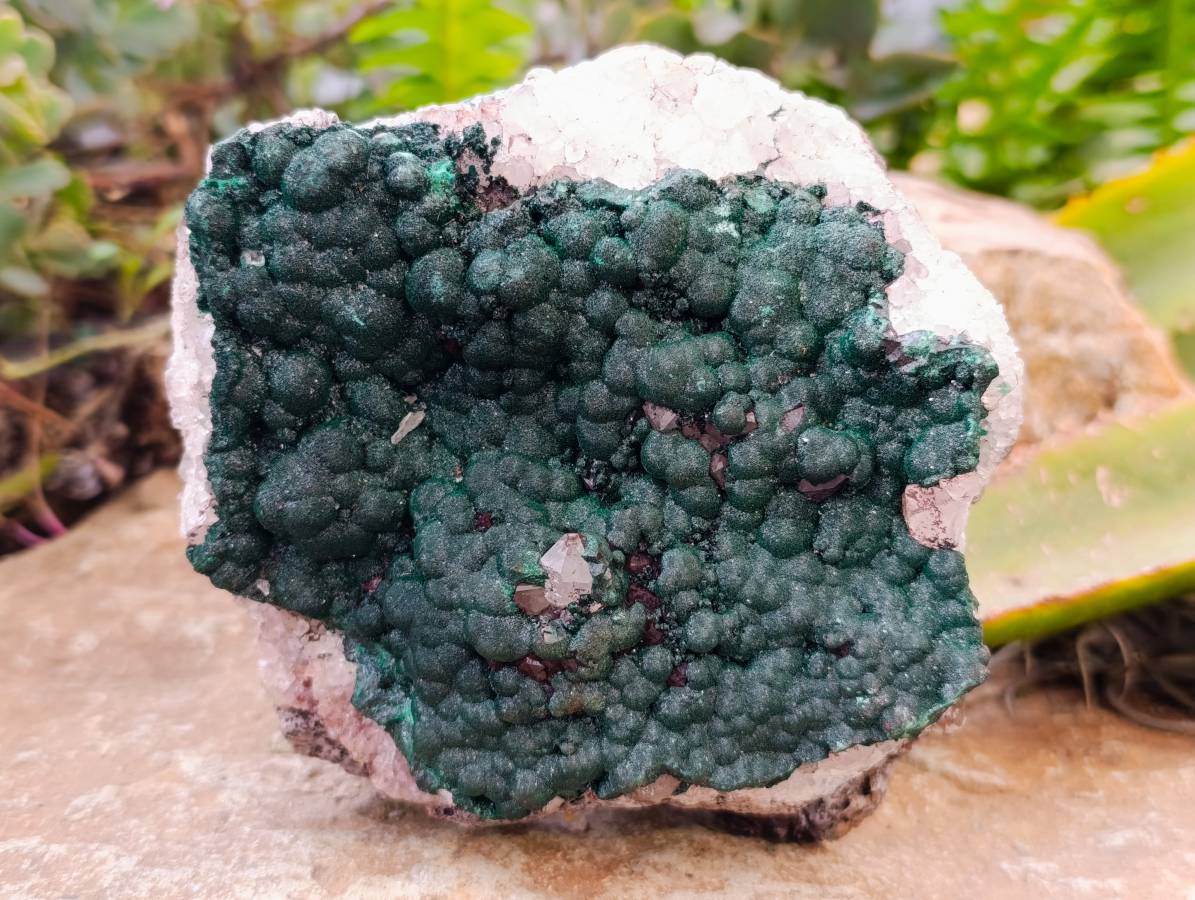 Natural Ball Malachite and Drusy Quartz On Dolomite Matrix Specimens x 1 From Kambove, Congo - Toprock Gemstones and Minerals 