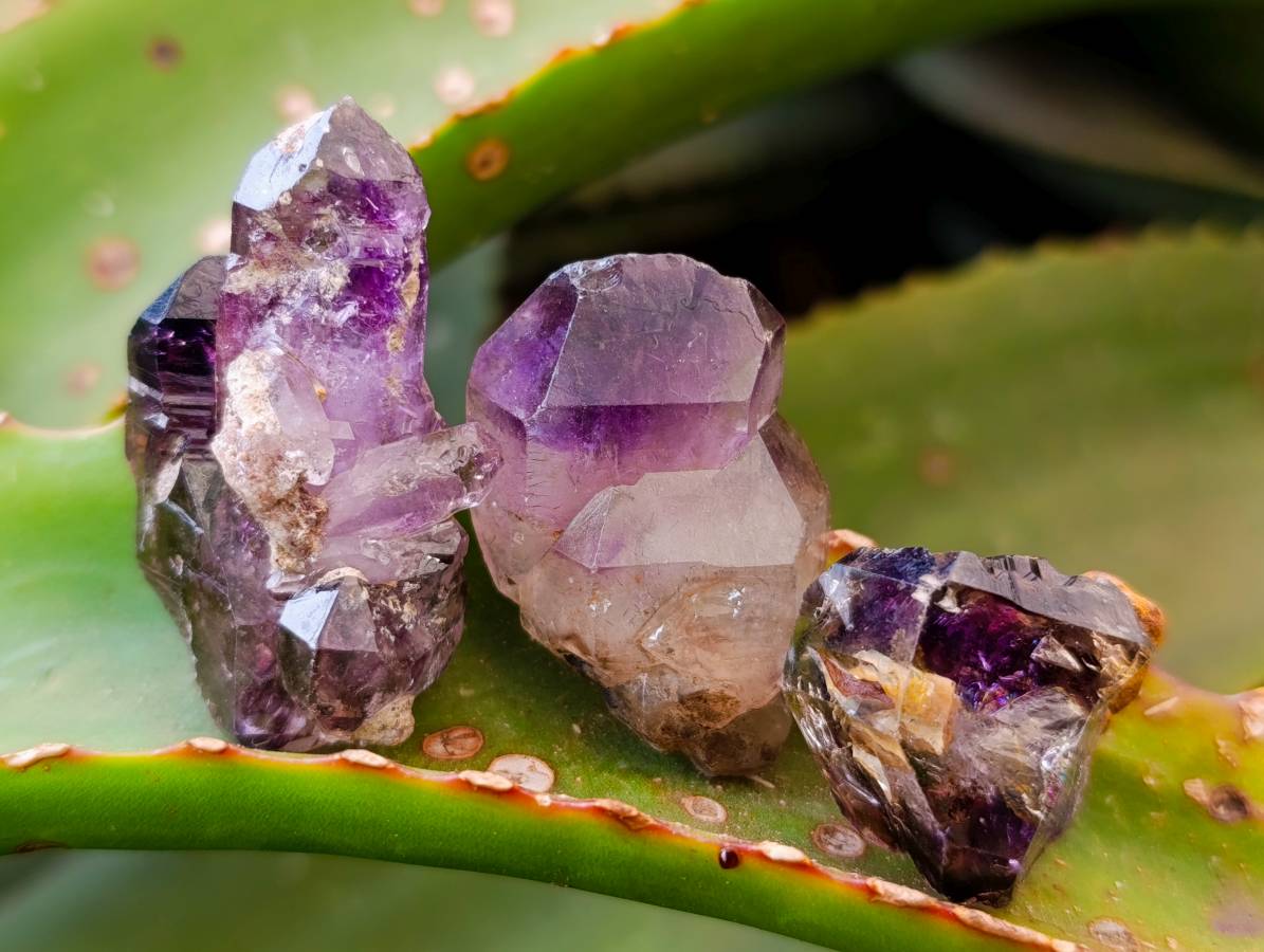 Natural Window Amethyst Crystals x 35 From Chiredzi, Zimbabwe - Toprock Gemstones and Minerals 