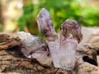 Natural Window Amethyst Crystals x 35 From Chiredzi, Zimbabwe - Toprock Gemstones and Minerals 