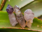 Natural Window Amethyst Crystals x 35 From Chiredzi, Zimbabwe - Toprock Gemstones and Minerals 