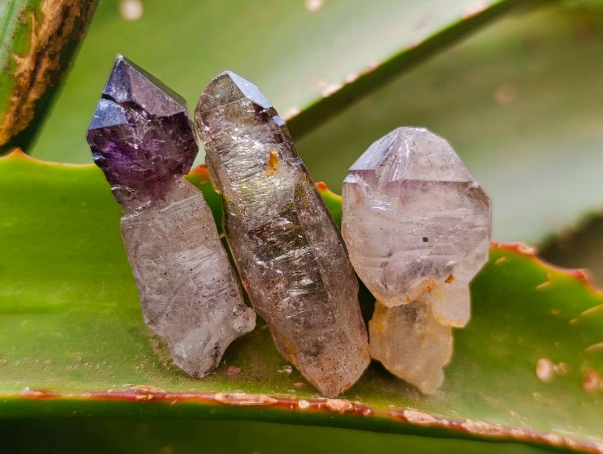 Natural Window Amethyst Crystals x 35 From Chiredzi, Zimbabwe - Toprock Gemstones and Minerals 