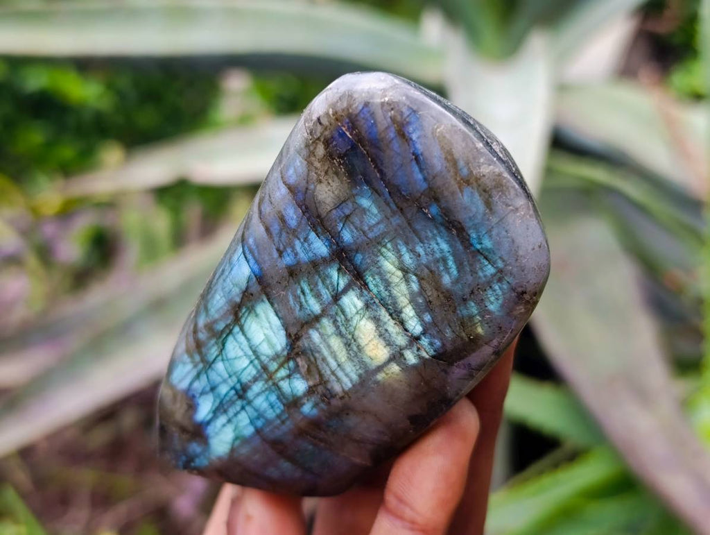 Polished Labradorite Standing Free Forms x 3 From Tulear, Madagascar - Toprock Gemstones and Minerals 