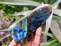 Polished Labradorite Standing Free Forms x 3 From Tulear, Madagascar - Toprock Gemstones and Minerals 