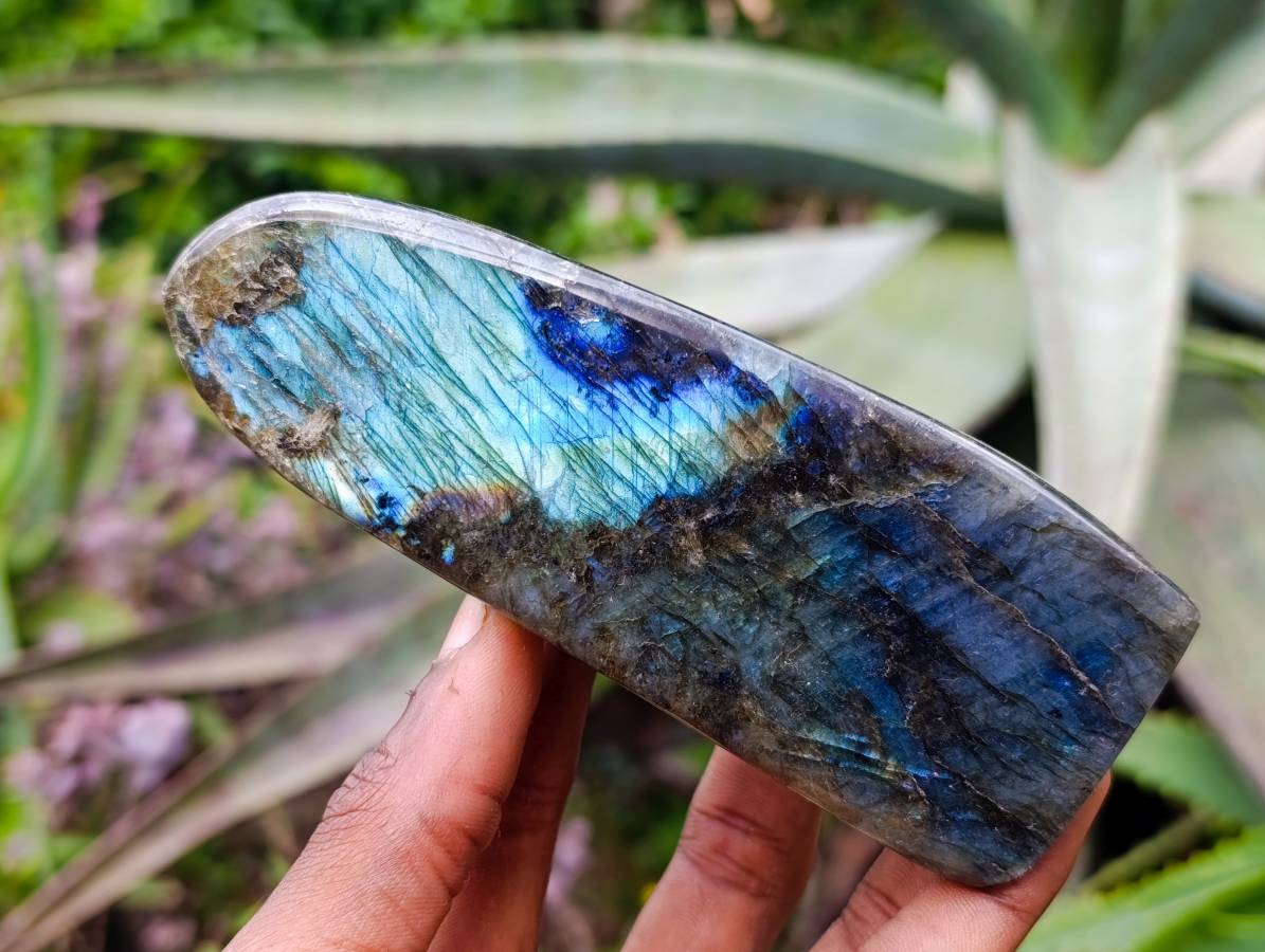 Polished Labradorite Standing Free Forms x 3 From Tulear, Madagascar - Toprock Gemstones and Minerals 