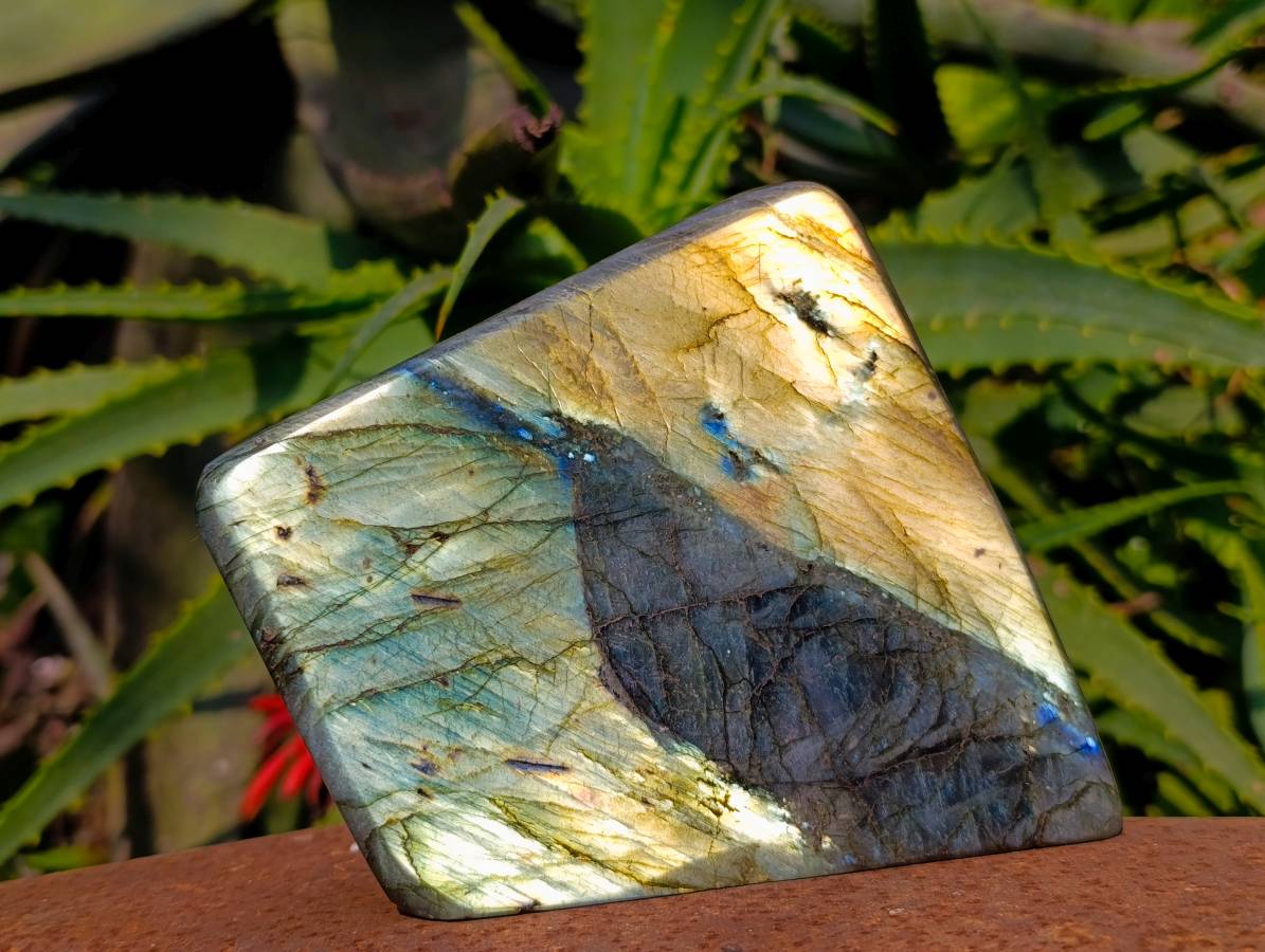 Polished Labradorite Standing Free Forms x 3 From Tulear, Madagascar - Toprock Gemstones and Minerals 