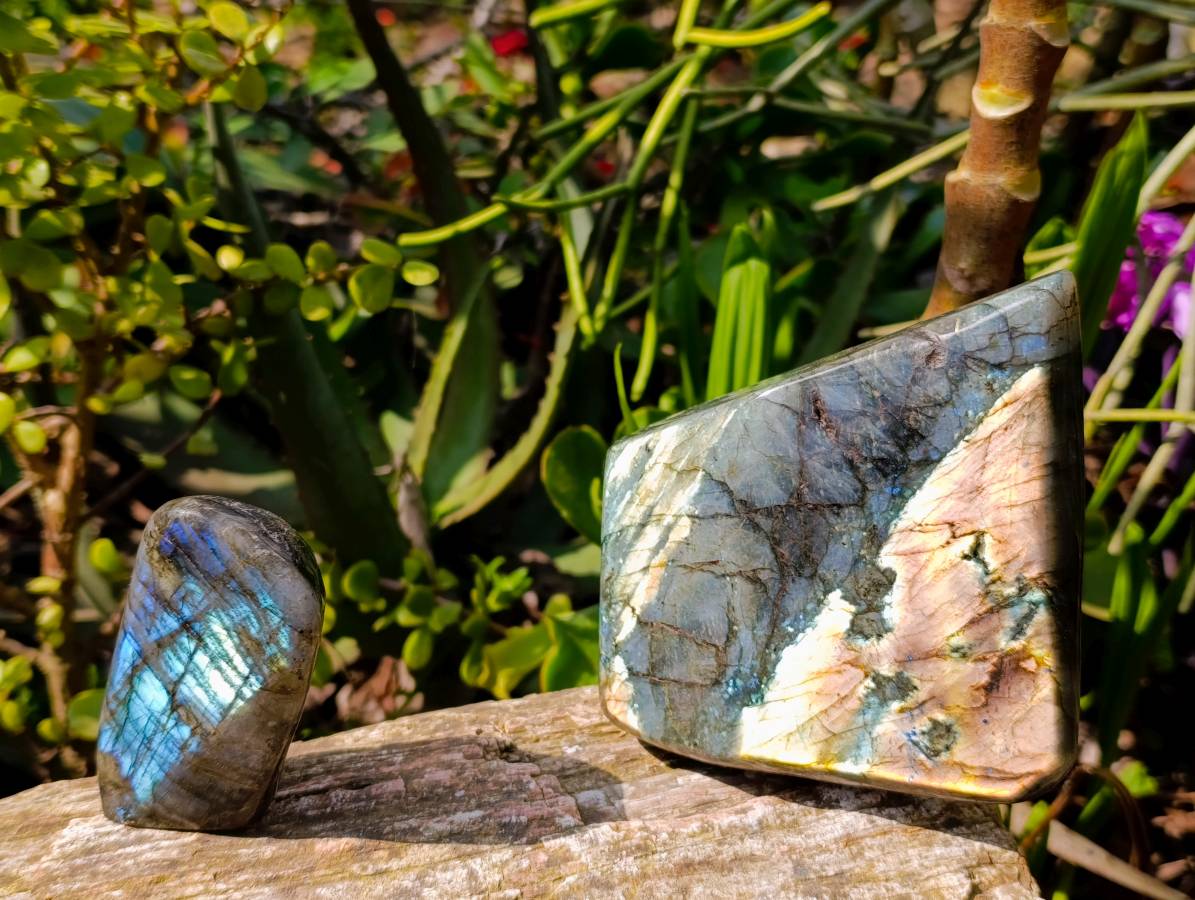 Polished Labradorite Standing Free Forms x 3 From Tulear, Madagascar - Toprock Gemstones and Minerals 