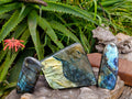 Polished Labradorite Standing Free Forms x 3 From Tulear, Madagascar - Toprock Gemstones and Minerals 