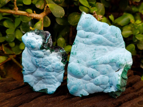 Natural Botryoidal Malachite with Chrysocolla x 6 From Congo - Toprock Gemstones and Minerals 