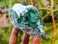 Natural Botryoidal Malachite with Chrysocolla x 6 From Congo - Toprock Gemstones and Minerals 